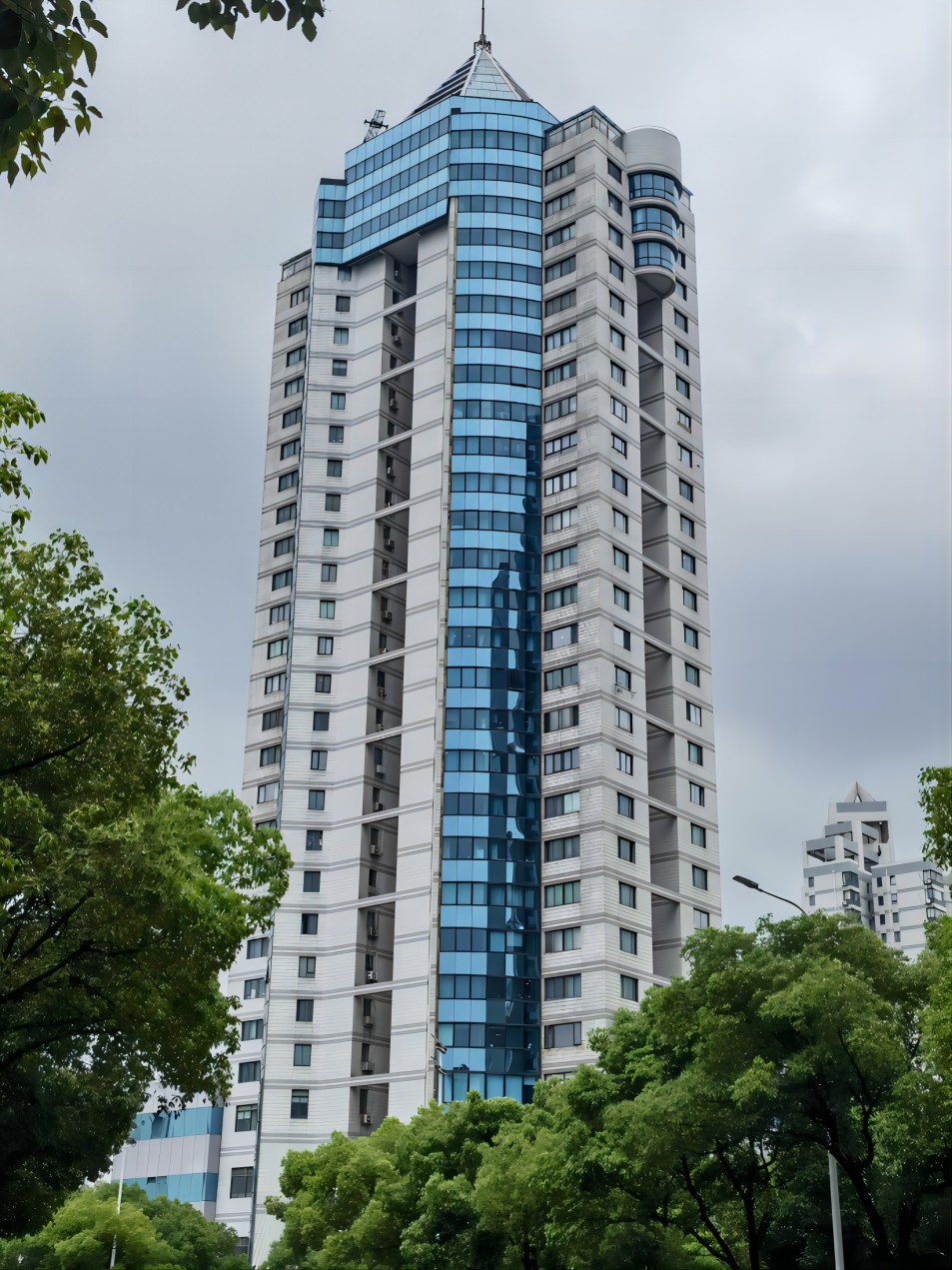 龙珠(1)(1).jpg