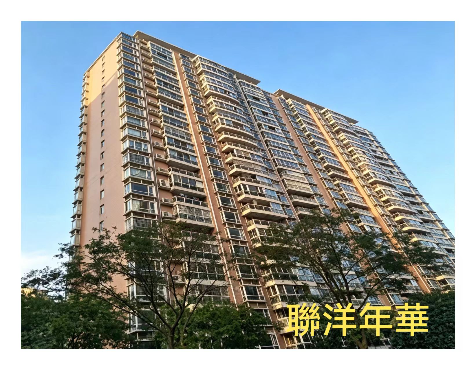 联洋年华.jpg