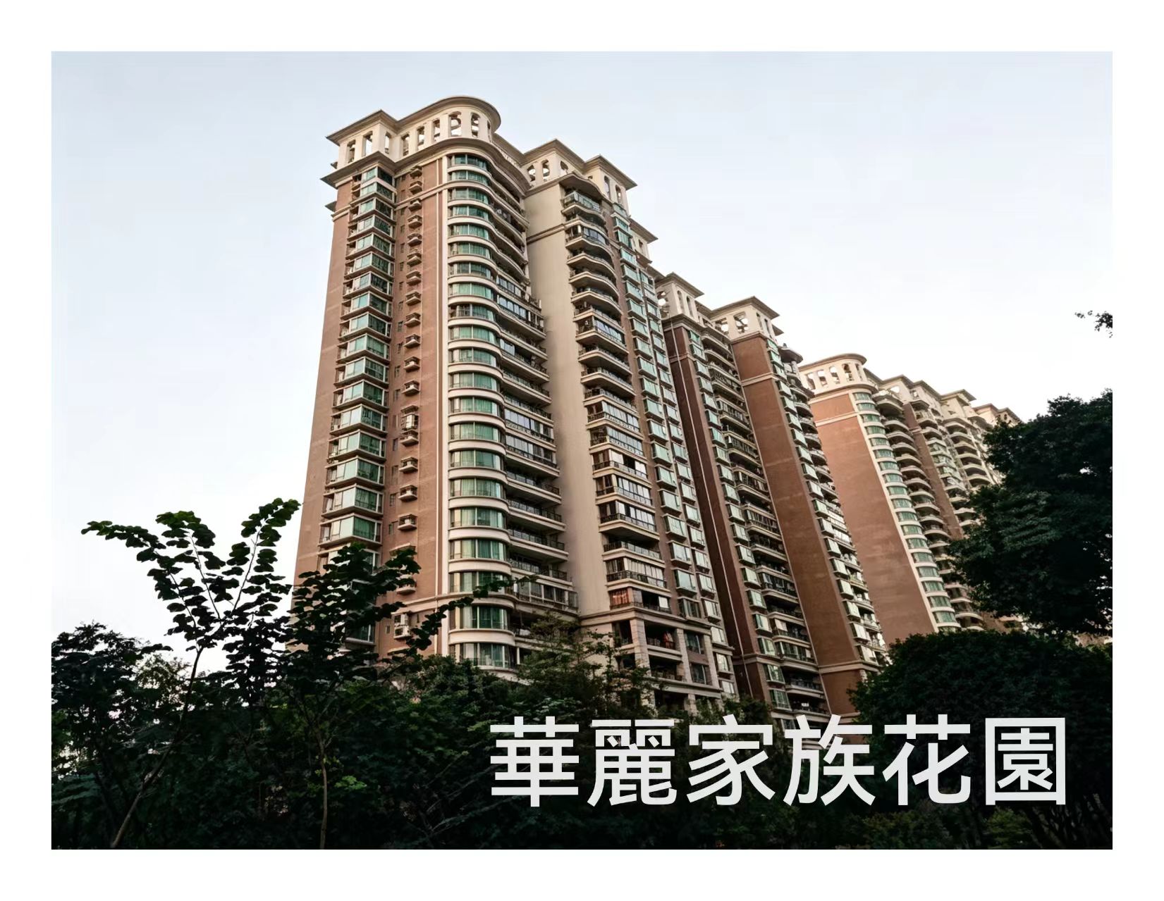 华丽家族.jpg