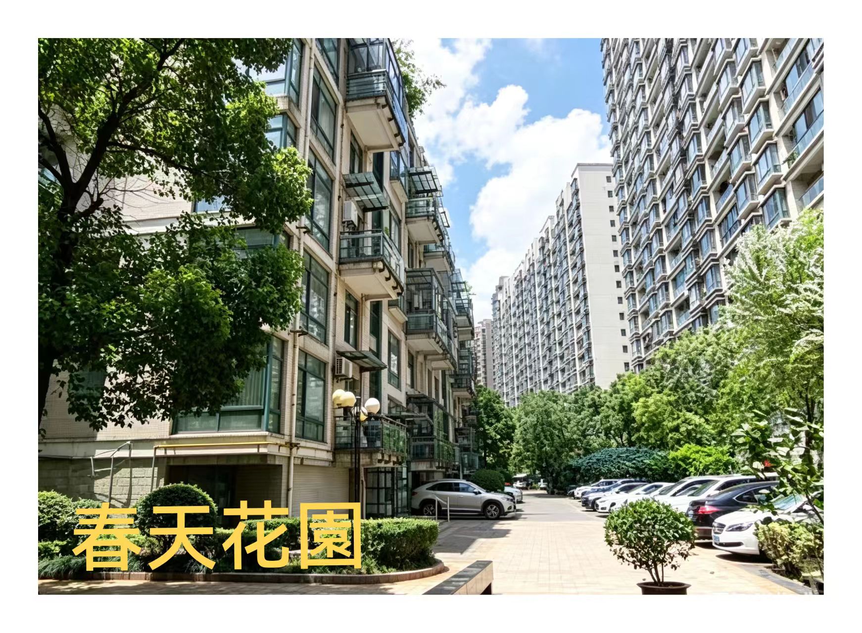 春天花园.jpg