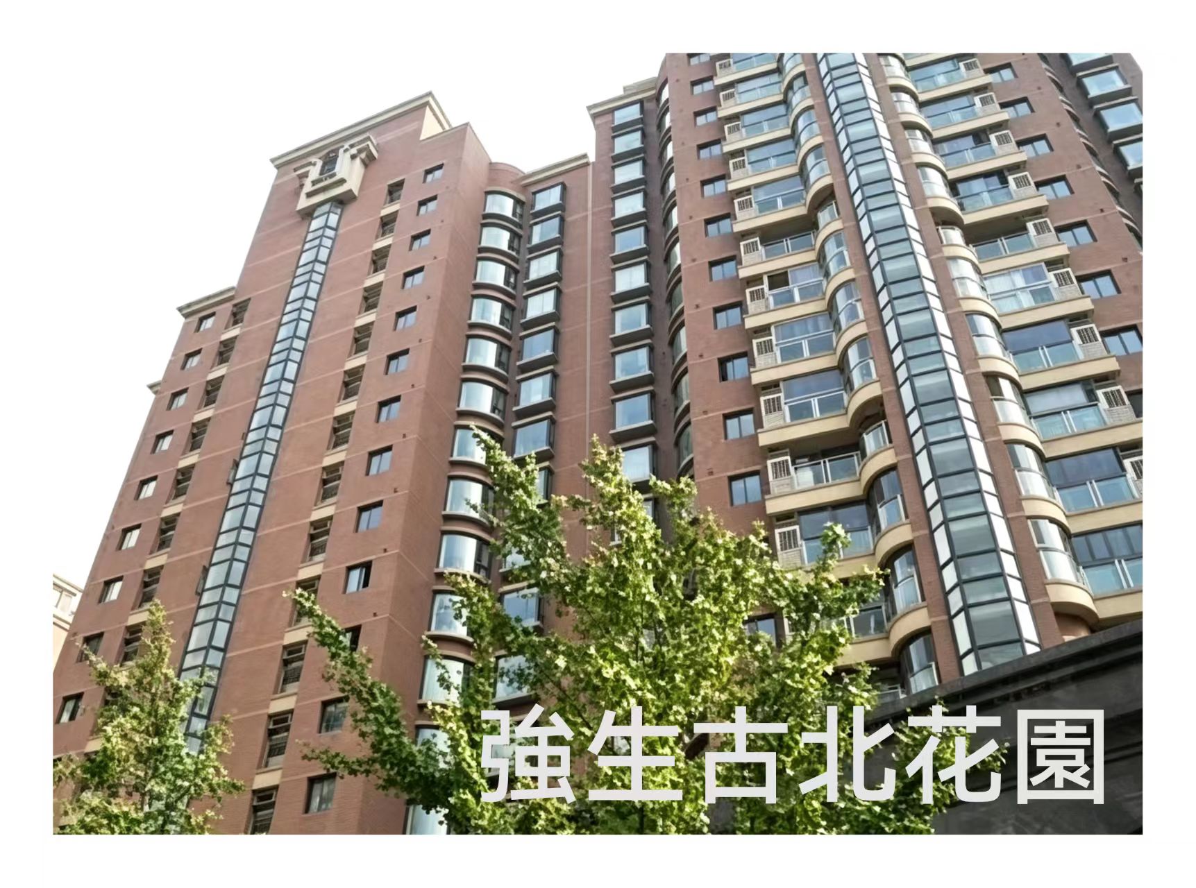 强生.jpg