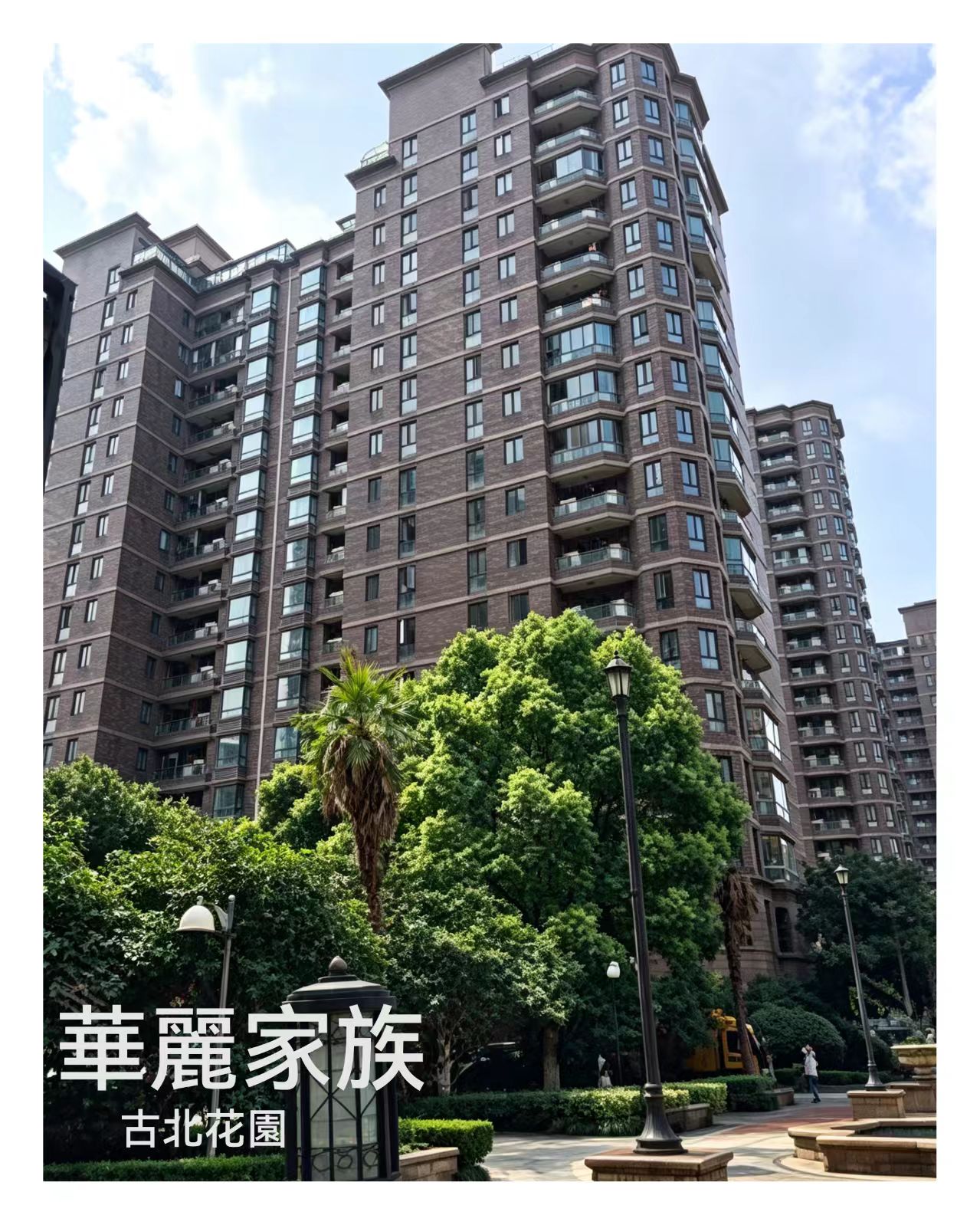 华丽家族.jpg